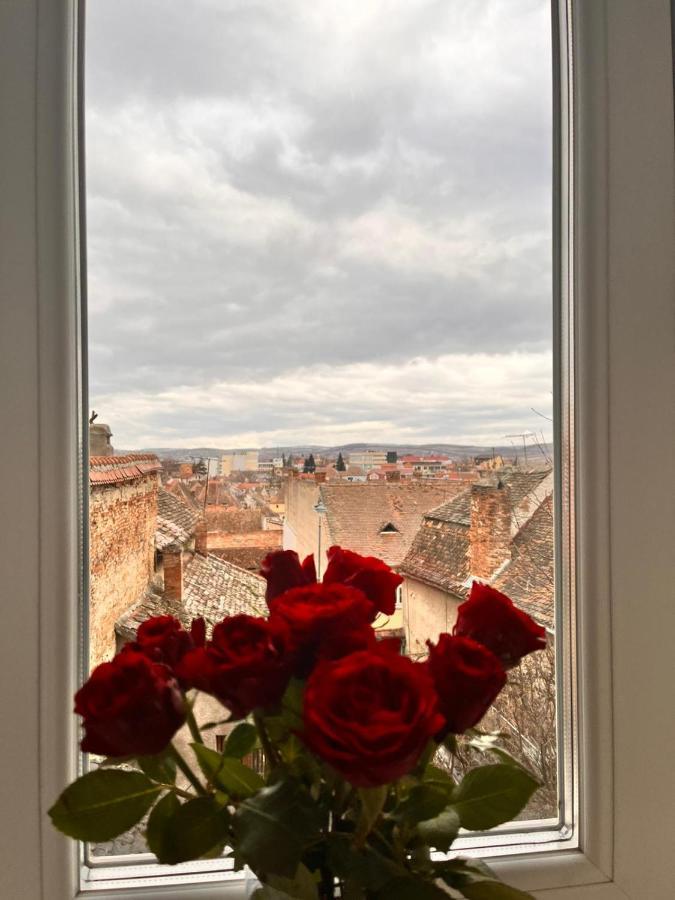 Enjoy Apartman Nagyszeben Kültér fotó